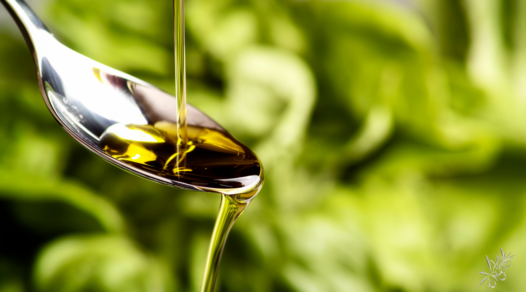 Nature's Liquid Gold: The Beauty Benefits of Olive Oil