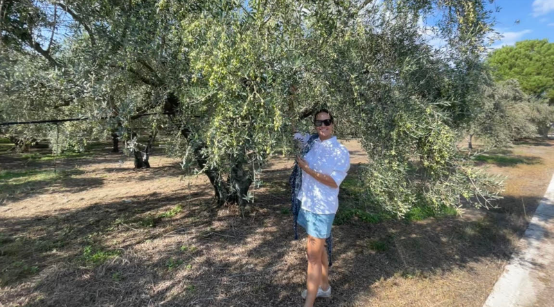 Spring Renewal with Extra Virgin Olive Oil: Wellness from Grove to Glow